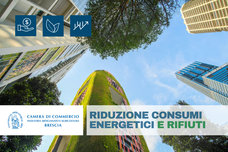 AGEF 2506: Riduzione Consumi Energetici e Rifiuti | CCIAA Brescia
