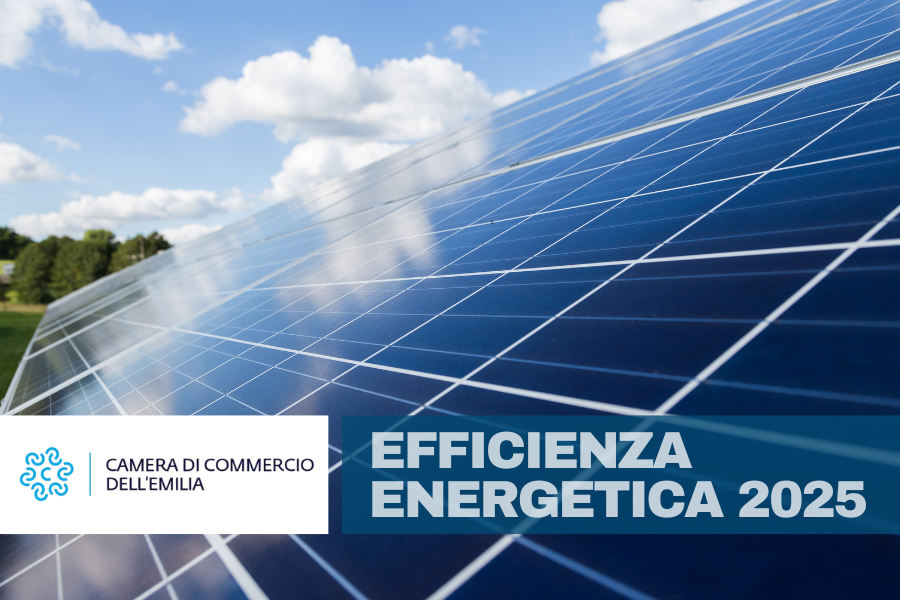 Efficienza energetica 2025 - CCIAA Emilia | 
