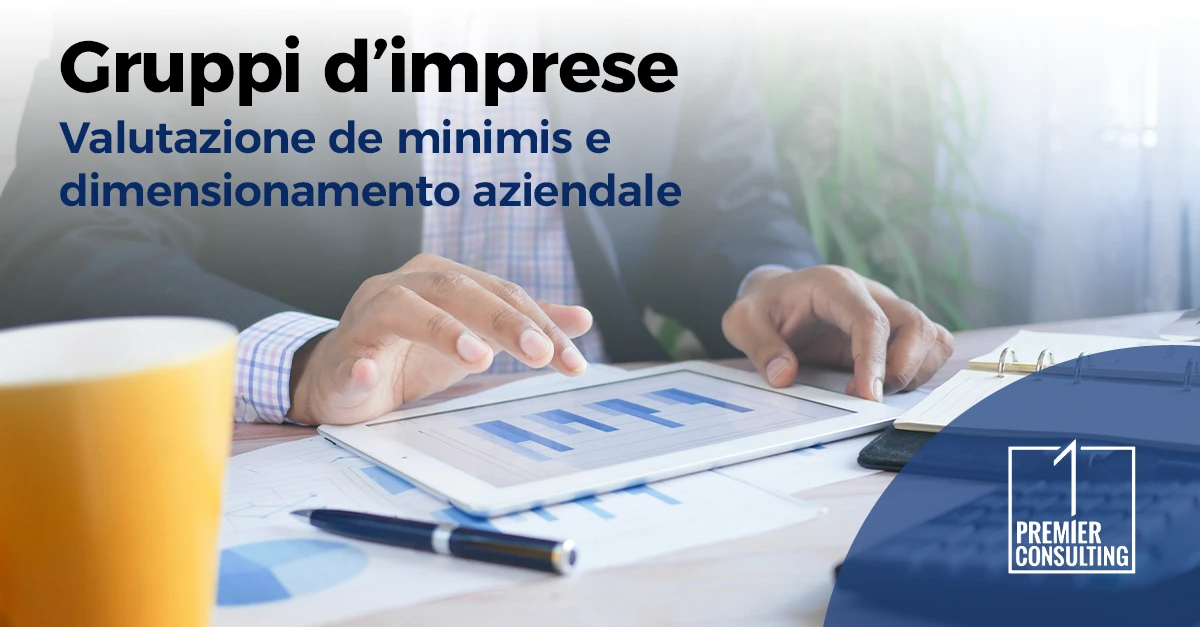 Gruppi d'imprese: valutazione de minimis e dimensionamento aziendale